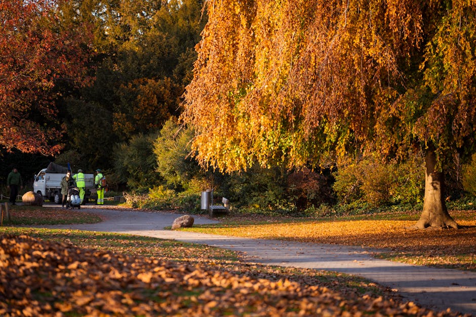 An autumn scene in Kilburn Grange Park featuring a large deciduous tree with orange and yellow foliage dominating the right side of the image. The tree's branches extend outward, casting a shadow over